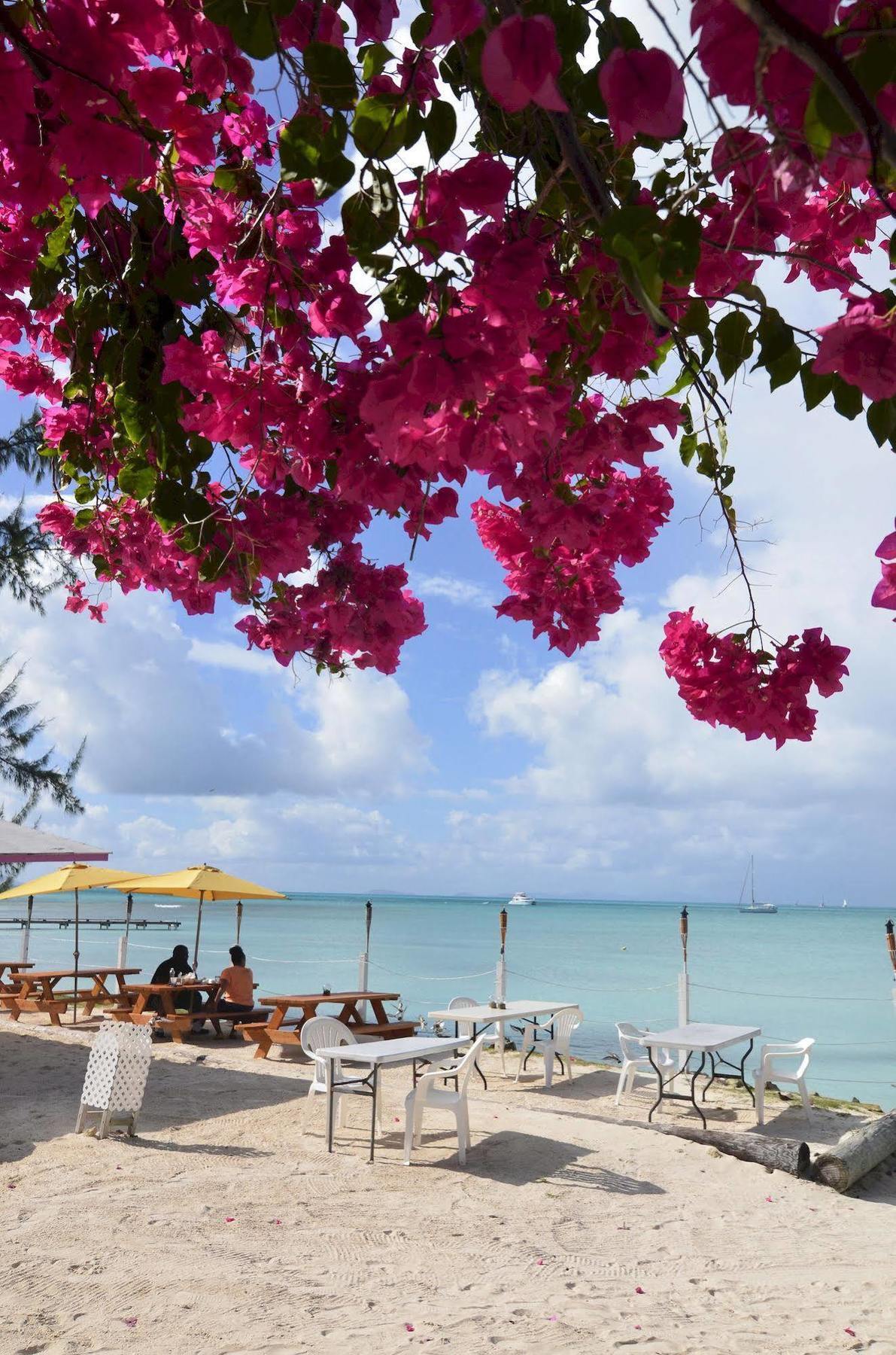 Anegada Reef Hotel The Settlement Exterior foto